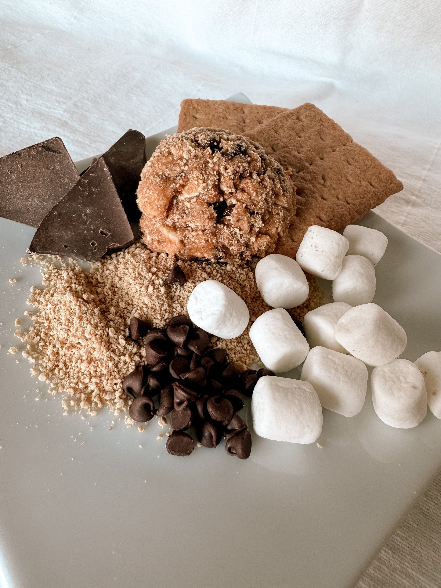 Gimme S’mores Protein Bites