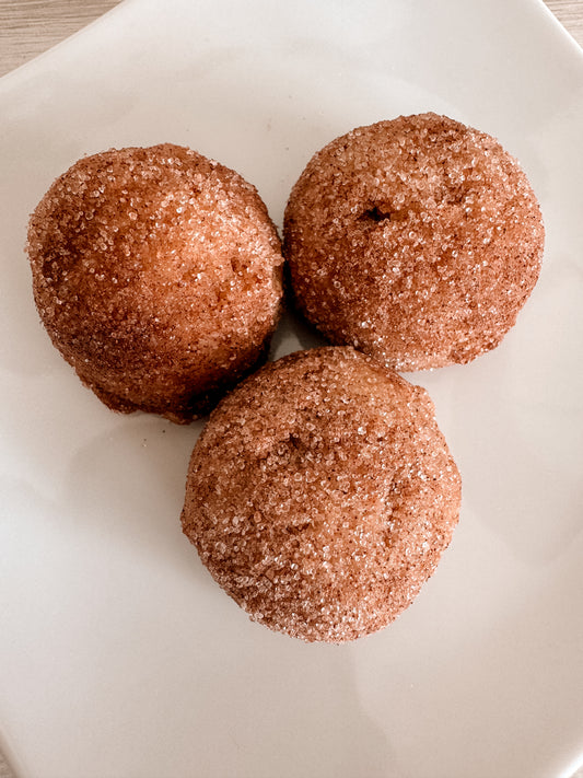 Snickerdoodle Protein Bite